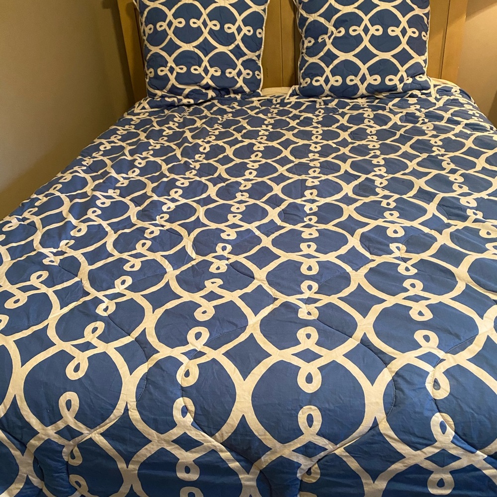 Pottery Barn teen queen comforter + 2 euro shams
